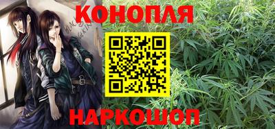 крисы Заводоуковск