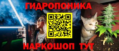спиды Жуковский