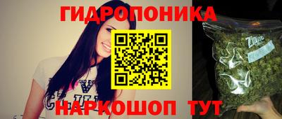 крисы Заводоуковск