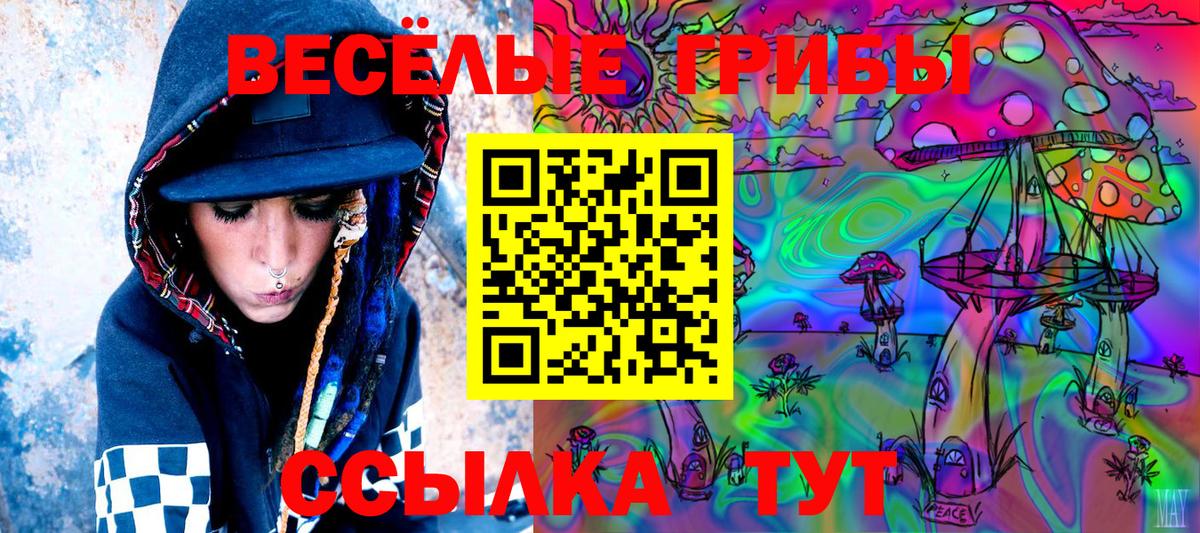 Зерноград  Галлюциногенные грибы Magic Shrooms  Вход с VPN 